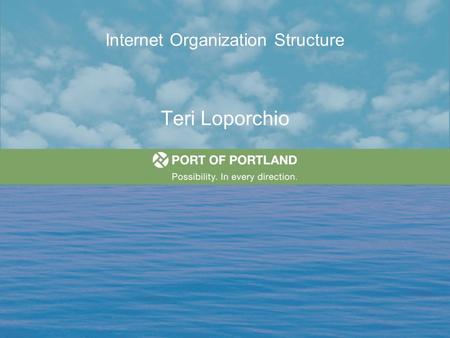 Internet Organization Structure
