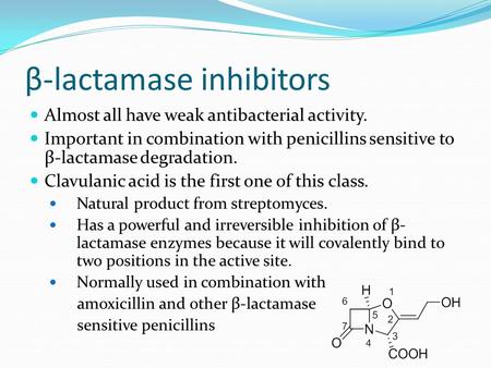 β-lactamase inhibitors