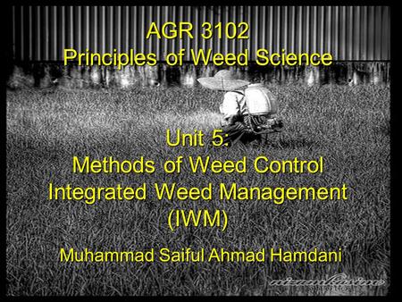 AGR 3102 Principles of Weed Science Unit 5: Methods of Weed Control Integrated Weed Management (IWM) Muhammad Saiful Ahmad Hamdani.