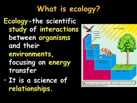 What is ecology? Ecology-the scientific study of interactions between organisms and their environments, focusing on energy transfer It is a science of.