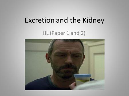 Excretion and the Kidney HL (Paper 1 and 2). Excretion What is excretion? – Elimination of waste from the metabolic processes, to maintain homeostasis.