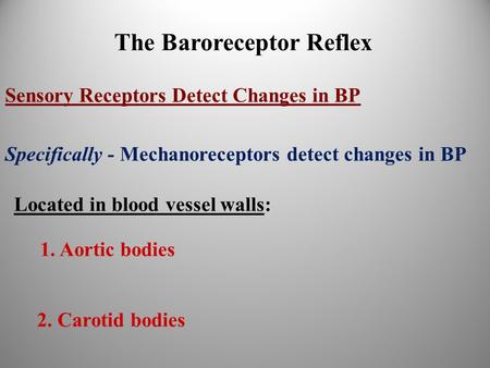 The Baroreceptor Reflex 1. Aortic bodies 2. Carotid bodies Sensory Receptors Detect Changes in BP Specifically - Mechanoreceptors detect changes in BP.