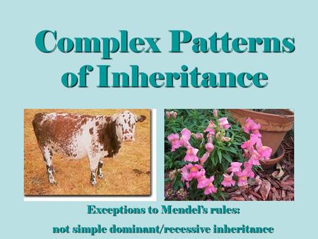 Complex Patterns of Inheritance Exceptions to Mendel’s rules: not simple dominant/recessive inheritance.