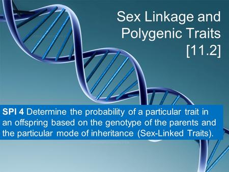 Sex Linkage and Polygenic Traits [11.2] SPI 4 Determine the probability of a particular trait in an offspring based on the genotype of the parents and.