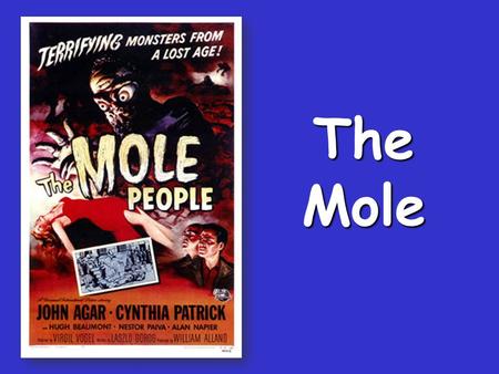 The Mole Standards Standards The Mole 1 dozen = 1 gross = 1 ream = 1 mole = 12 144 500 6.02 x 10 23 There are exactly 12 grams of carbon-12 in one mole.