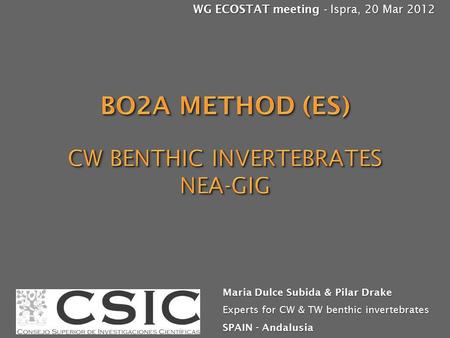 WG ECOSTAT meeting - Ispra, 20 Mar 2012 Maria Dulce Subida & Pilar Drake Experts for CW & TW benthic invertebrates SPAIN - Andalusia.