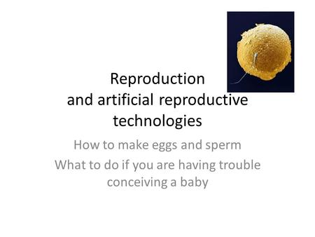 Reproduction and artificial reproductive technologies How to make eggs and sperm What to do if you are having trouble conceiving a baby.