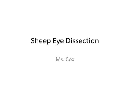 Sheep Eye Dissection Ms. Cox. Introduction Sheep Eye Dissection The anatomy of the human eye can be better shown and understood by the actual dissection.