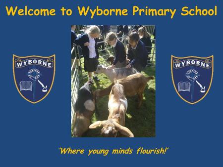 Welcome to Wyborne Primary School ‘’Where young minds flourish!’