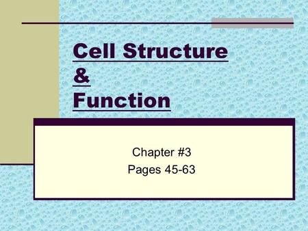 Cell Structure & Function Chapter #3 Pages 45-63.