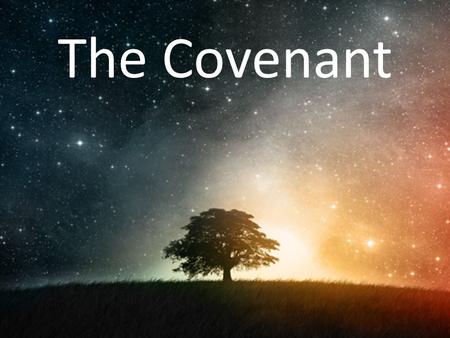 The Covenant. What Makes You Anxious? Genesis 15:1 1 After this, Abram had a vision and heard the L ORD say to him, “Do not be afraid, Abram. I will.