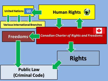 Various International Branches Human Rights Canadian Charter of Rights and Freedoms Rights Freedoms Public Law (Criminal Code) United Nations United Nations.