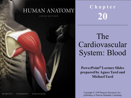 Copyright © 2008 Pearson Education, Inc., publishing as Benjamin Cummings C h a p t e r 20 The Cardiovascular System: Blood PowerPoint ® Lecture Slides.
