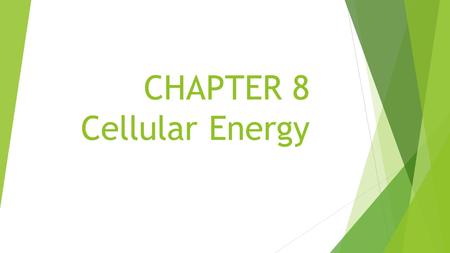 CHAPTER 8 Cellular Energy 8-2 Photosynthesis thylakoid granum stroma pigment NADP + Calvin cycle Cellular Energy Vocabulary Section 2.