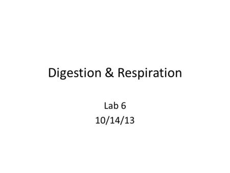 Digestion & Respiration