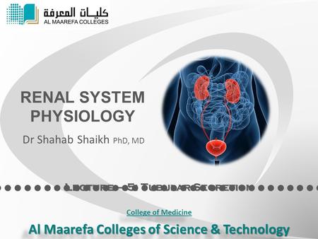 RENAL SYSTEM PHYSIOLOGY