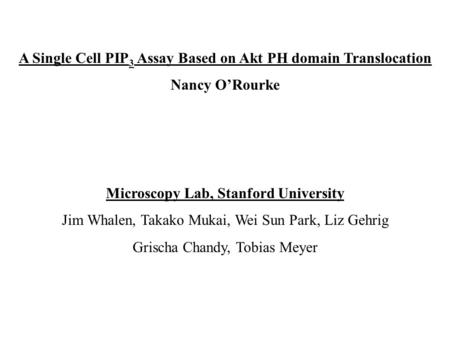 A Single Cell PIP 3 Assay Based on Akt PH domain Translocation Nancy O’Rourke Microscopy Lab, Stanford University Jim Whalen, Takako Mukai, Wei Sun Park,