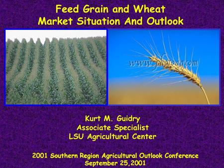 Feed Grain and Wheat Market Situation And Outlook 2001 Southern Region Agricultural Outlook Conference September 25,2001 Kurt M. Guidry Associate Specialist.