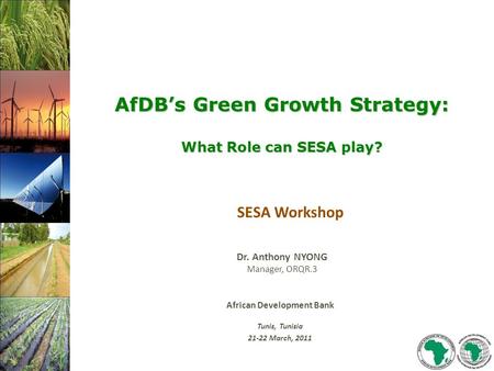 African Development Bank Tunis, Tunisia 21-22 March, 2011 Dr. Anthony NYONG Manager, ORQR.3 SESA Workshop AfDB’s Green Growth Strategy: What Role can SESA.