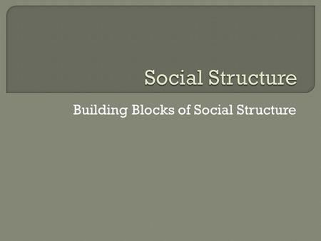 Building Blocks of Social Structure.  Competency Goal 3: The learner will develop an understanding of social interaction and social structure. 3.01 Define.