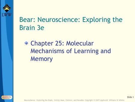 Slide 1 Neuroscience: Exploring the Brain, 3rd Ed, Bear, Connors, and Paradiso Copyright © 2007 Lippincott Williams & Wilkins Bear: Neuroscience: Exploring.