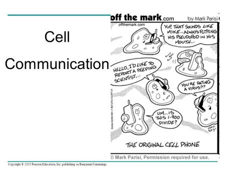 Copyright © 2005 Pearson Education, Inc. publishing as Benjamin Cummings Cell Communication.