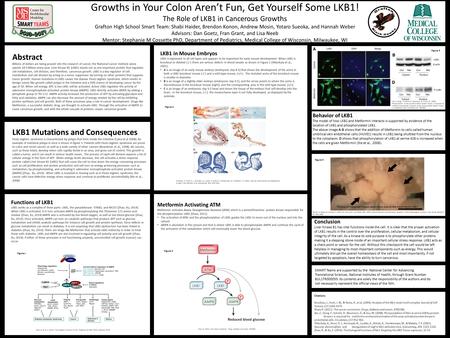 Growths in Your Colon Aren’t Fun, Get Yourself Some LKB1! The Role of LKB1 in Cancerous Growths Grafton High School Smart Team: Shabi Haider, Brendon Konon,
