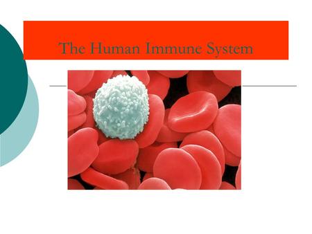 The Human Immune System. What is the Immune System?