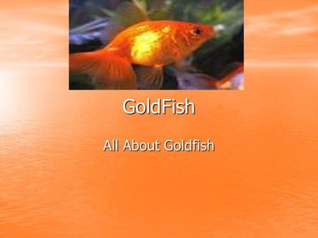 GoldFish All About Goldfish.