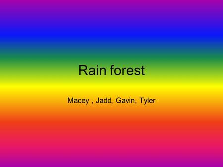 Rain forest Macey, Jadd, Gavin, Tyler Description of Rain Forest There are three main levels they are the ground layer, the under story, and the canopy.