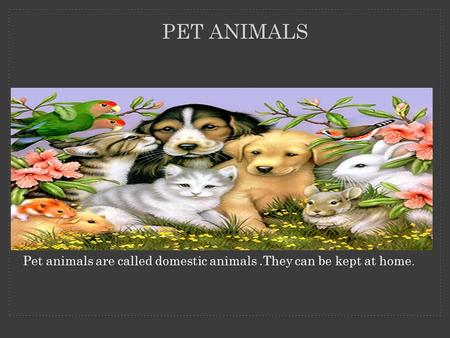 PET ANIMALS Pet animals are called domestic animals.They can be kept at home.