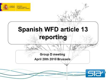 Spanish WFD article 13 reporting Group D meeting April 28th 2010 Brussels.