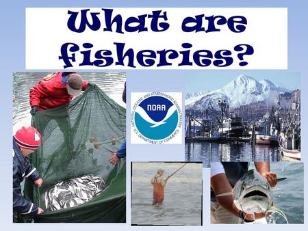What are fisheries?. What do you think of when you hear the word “FISHING”?
