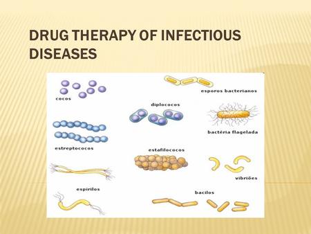 DRUG THERAPY OF INFECTIOUS DISEASES. Classification of infectious diseases  According to onset and duration  According to location  According to item.
