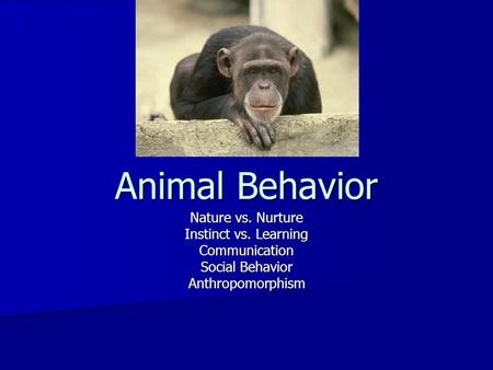 Animal Behavior Nature vs. Nurture Instinct vs. Learning Communication Social Behavior Anthropomorphism.