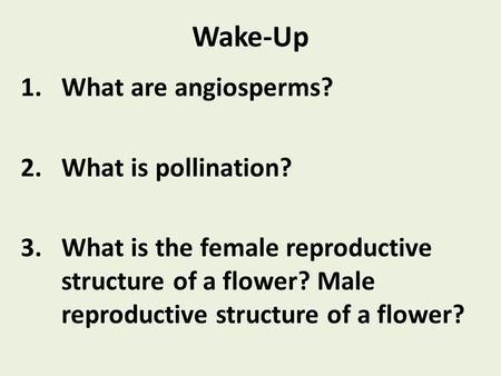 Wake-Up 1.What are angiosperms? 2.What is pollination? 3.What is the female reproductive structure of a flower? Male reproductive structure of a flower?