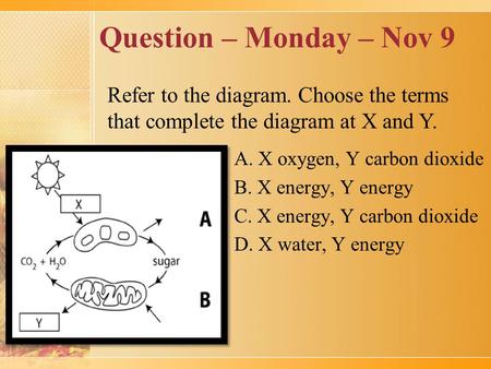 Question – Monday – Nov 9 A. X oxygen, Y carbon dioxide B. X energy, Y energy C. X energy, Y carbon dioxide D. X water, Y energy Refer to the diagram.