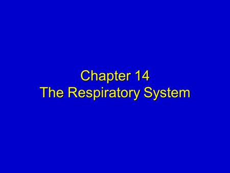 Chapter 14 The Respiratory System. Mosby items and derived items © 2008 by Mosby, Inc., an affiliate of Elsevier Inc. Slide 2 STRUCTURAL PLAN  Basic.