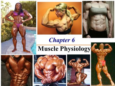 Chapter 6 The Muscle Physiology