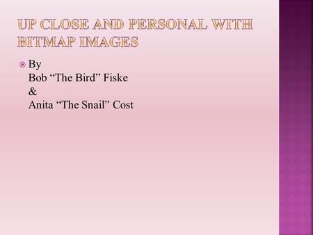  By Bob “The Bird” Fiske & Anita “The Snail” Cost.