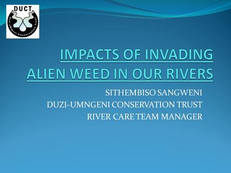 SITHEMBISO SANGWENI DUZI-UMNGENI CONSERVATION TRUST RIVER CARE TEAM MANAGER.