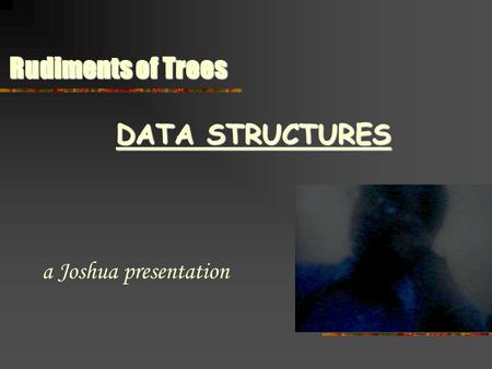 Rudiments of Trees a Joshua presentation DATA STRUCTURES.