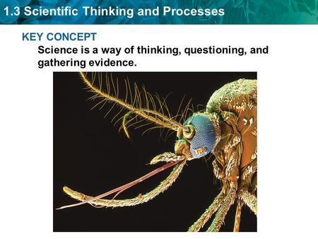 1.3 Scientific Thinking and Processes KEY CONCEPT Science is a way of thinking, questioning, and gathering evidence.