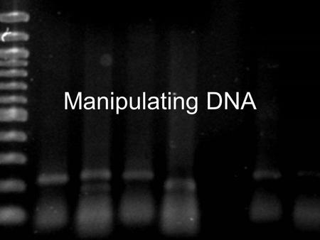 Manipulating DNA. Scientists use their knowledge of the structure of DNA and its chemical properties to study and change DNA molecules Different techniques.