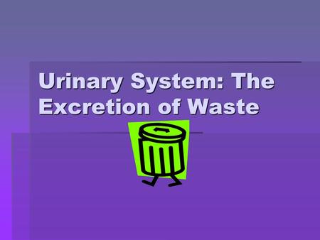 Urinary System: The Excretion of Waste. Kidneys: Structure and Function  The urinary system is made up of two kidneys, a pair of ureters, the urinary.
