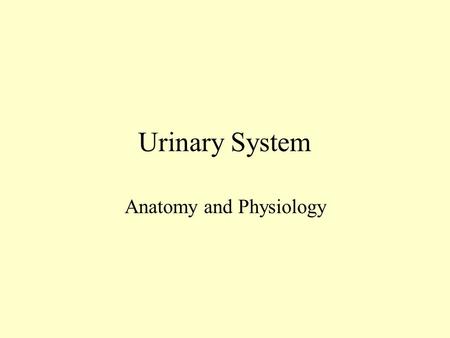 Urinary System Anatomy and Physiology Functions of Urinary System Regulate the volume, composition, and pH of body fluids Remove or add substances to.