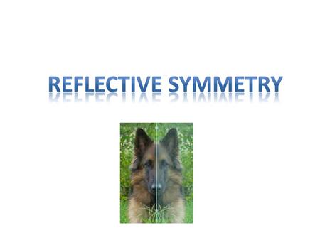 An image has Reflective Symmetry if there is at least one line which splits the image in half so that one side is the mirror image of the other.