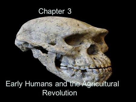 Early Humans and the Agricultural Revolution Chapter 3.