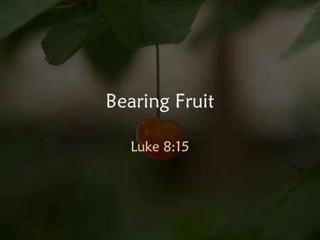 Bearing Fruit Luke 8:15.