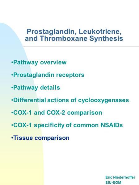 Prostaglandin, Leukotriene, and Thromboxane Synthesis Eric Niederhoffer SIU-SOM Pathway overview Prostaglandin receptors Pathway details Differential actions.